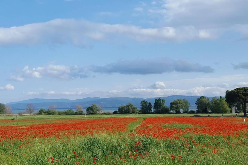 Bellavista La Tua Romantica Vacanza Sul Trasimeno Apartment Castiglione del Lago Exterior foto