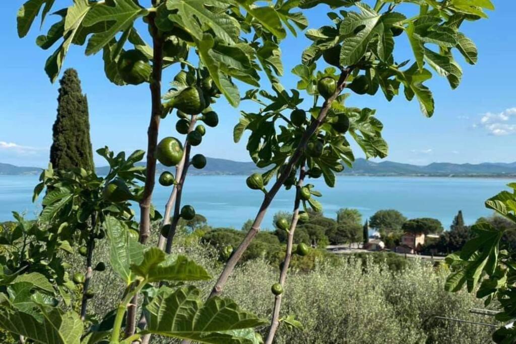 Bellavista La Tua Romantica Vacanza Sul Trasimeno Apartment Castiglione del Lago Exterior foto