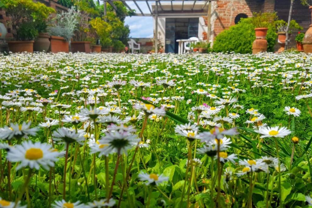 Bellavista La Tua Romantica Vacanza Sul Trasimeno Apartment Castiglione del Lago Exterior foto