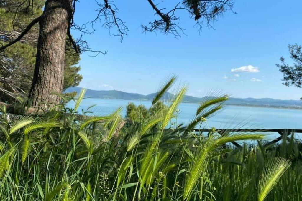 Bellavista La Tua Romantica Vacanza Sul Trasimeno Apartment Castiglione del Lago Exterior foto