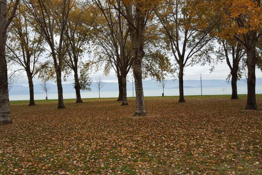 Bellavista La Tua Romantica Vacanza Sul Trasimeno Apartment Castiglione del Lago Exterior foto