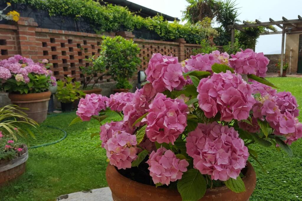 Bellavista La Tua Romantica Vacanza Sul Trasimeno Apartment Castiglione del Lago Exterior foto