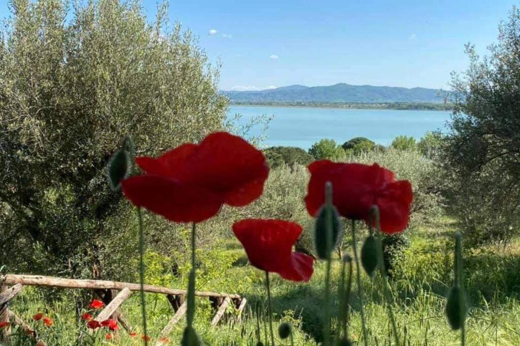 Bellavista La Tua Romantica Vacanza Sul Trasimeno Apartment Castiglione del Lago Exterior foto