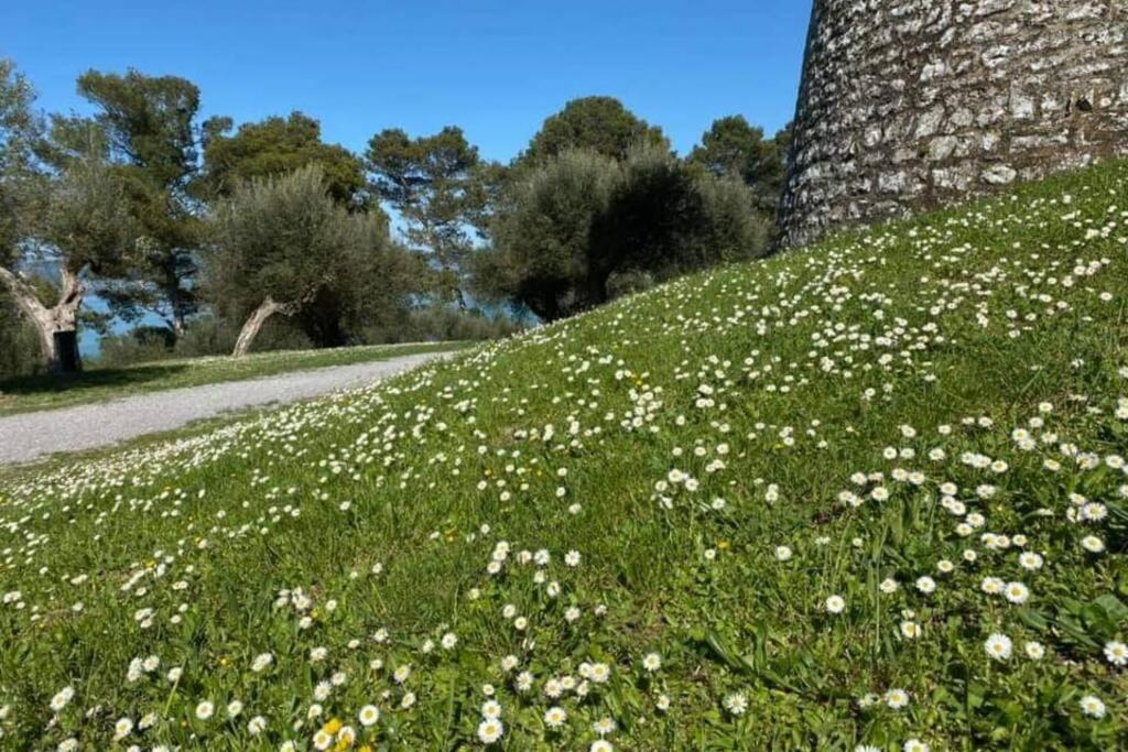 Bellavista La Tua Romantica Vacanza Sul Trasimeno Apartment Castiglione del Lago Exterior foto