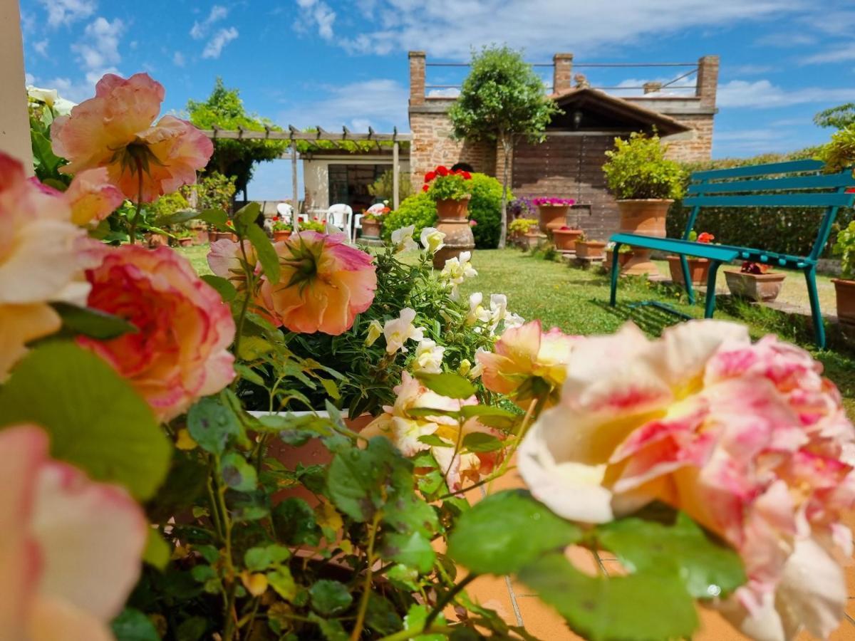 Bellavista La Tua Romantica Vacanza Sul Trasimeno Apartment Castiglione del Lago Exterior foto