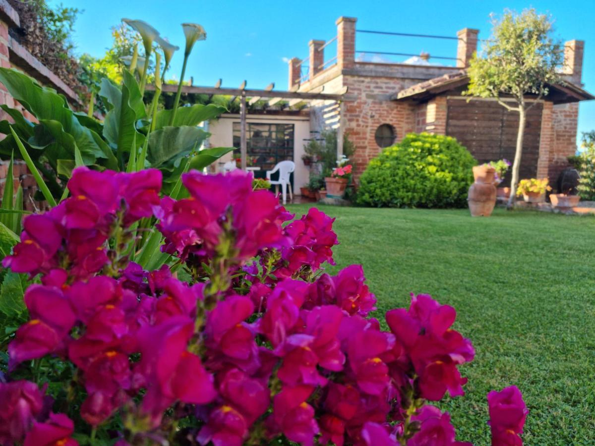 Bellavista La Tua Romantica Vacanza Sul Trasimeno Apartment Castiglione del Lago Exterior foto